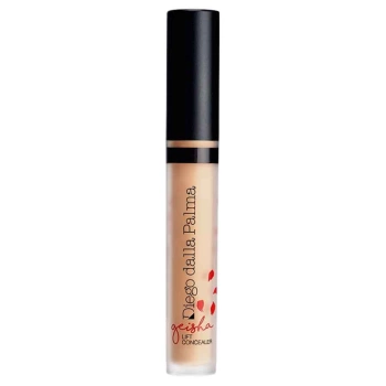 Geisha Lift Concealer