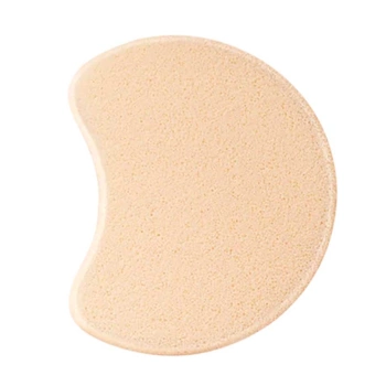 Foundation Sponge